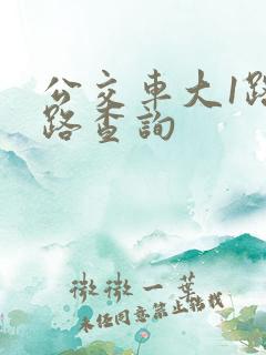 公交车大1路线路查询