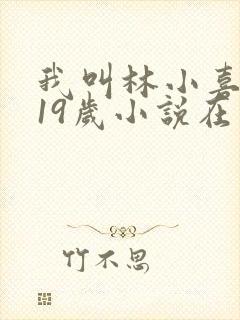 我叫林小喜今年19岁小说在线阅读全文