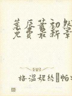 叶辰萧初然全文免费最新章节
