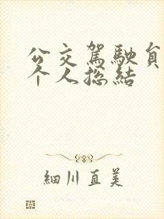 公交驾驶员总结个人总结
