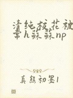清纯校花被脔日常h苏苏np