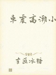车震高潮小说