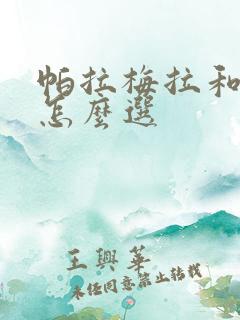 帕拉梅拉和卡宴怎么选