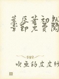 叶辰萧初然全部章节免费阅读