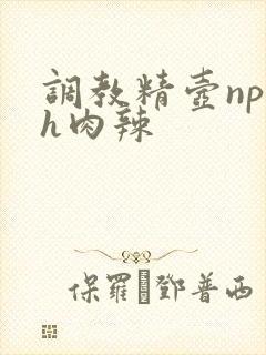 调教精壶np高h肉辣