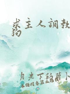 求主人调教骚母狗