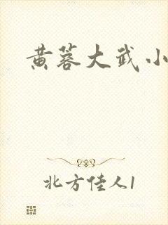黄蓉大武小武