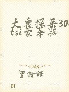 大众探岳300tsi豪华版