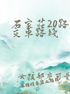 石家庄20路公交车路线