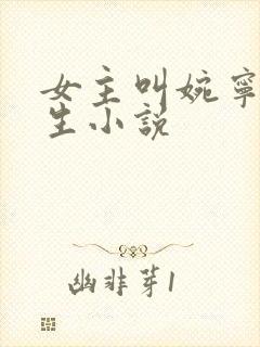 女主叫婉宁的重生小说