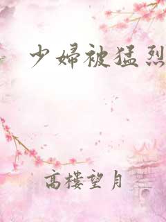 少妇被猛烈插入