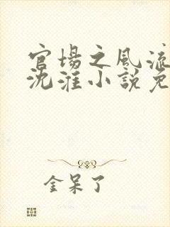 官场之风流人生沈淮小说免费阅读