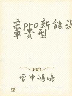 宋pro新能源尊贵型 宋pro新能源尊贵型