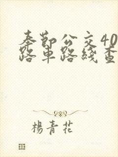 奉节公交403路车路线查询表
