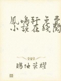 凤鸣轩免费言情小说在线阅读