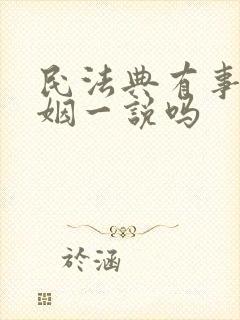 民法典有事实婚姻一说吗
