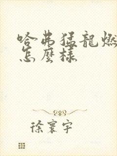 哈弗猛龙燃油版怎么样