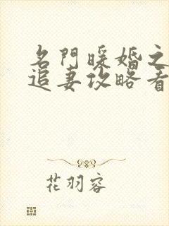 名门暖婚之权爷追妻攻略看
