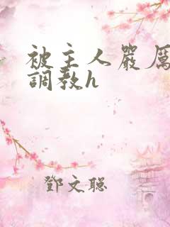 被主人严厉惩罚调教h