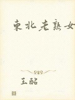 东北老熟女小说