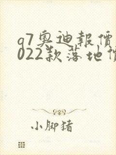 q7奥迪报价2022款落地价格