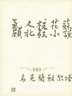气人校花苏o,顾北弦小说免费阅读