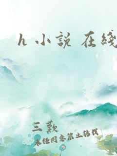 h 小说 在线