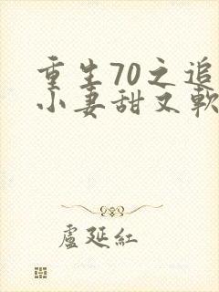 重生70之追夫小妻甜又软 程雨桐