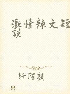 激情辣文短篇小说