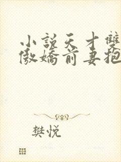 小说天才双宝:傲娇前妻抱回家