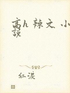 高h 辣文 小说