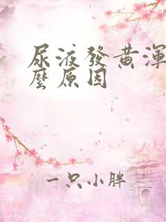 尿液发黄浑浊什么原因