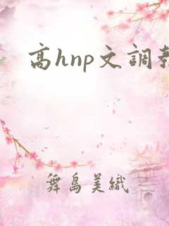 高hnp文调教 高hnp文调教