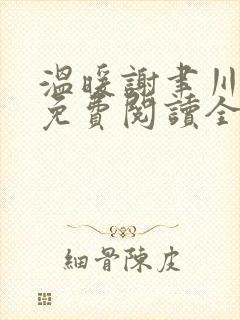 温暖谢聿川小说免费阅读全文无弹窗