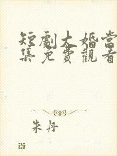 短剧大婚当日全集免费观看