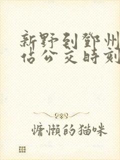 新野到邓州高铁站公交时刻表