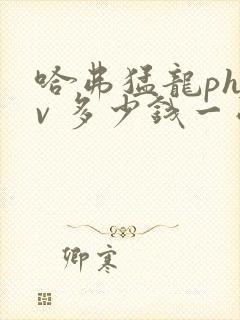 哈弗猛龙phev 多少钱一台