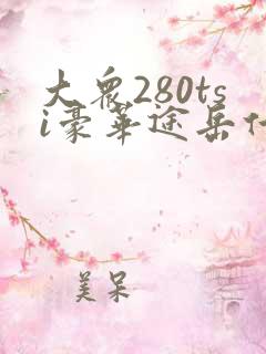 大众280tsi豪华途岳什价格