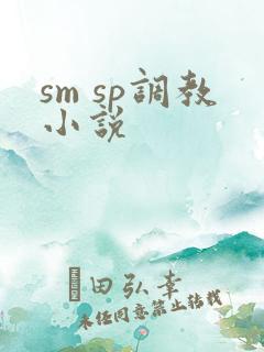 sm sp调教小说