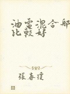 油电混合哪款车比较好