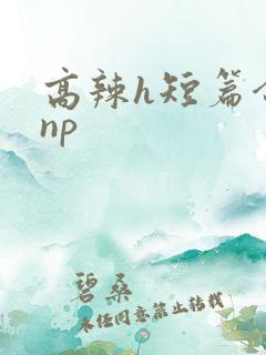 高辣h短篇合集np 高辣h短篇合集np
