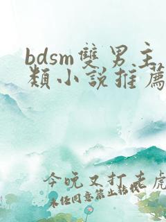 bdsm双男主类小说推荐