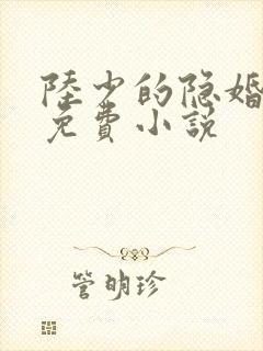陆少的隐婚罪妻免费小说