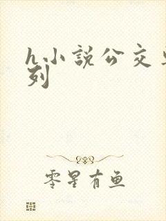 h小说公交车系列