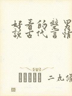 好看的双男主小说古代言情