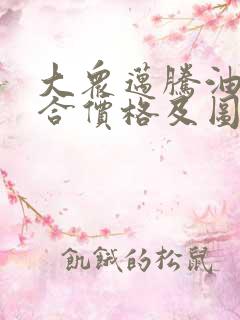 大众迈腾油电混合价格及图片
