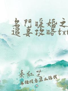 名门暖婚之权爷追妻攻略txt免费下载