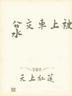 公交车上被蹭出水