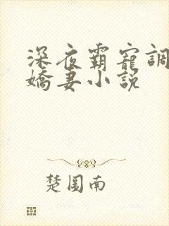 深夜霸宠调教小娇妻小说
