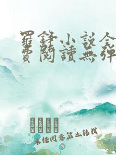 罗铮小说全文免费阅读无弹窗
